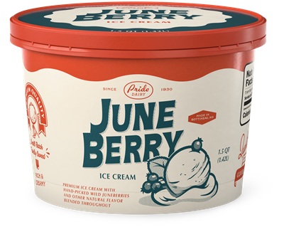 JUNEBERRY SURPRISE ICE CREAM