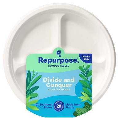 10" Picnic Plates (20ct)